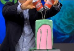Dr. Oz showed how two cans of soda can send a normal pancreas into overdrive.