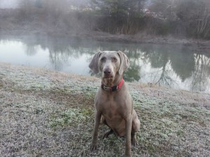 Zoey will join the Petersens at the Botanical Garden on Feb. 8.